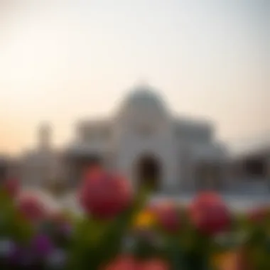 Magnificent Exploring Arabian Ranches 3: Anya