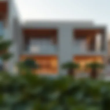 Magnificent The Essence of Modern Housing in Dubai Magnificent The Essence of Modern Housing in Dubai