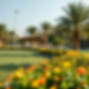 Lush green community park in the Al Furjan neighborhood