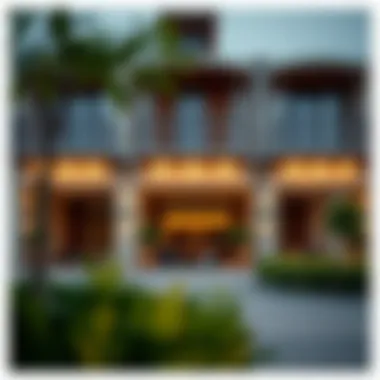 An In-Depth Exploration of Rukan Townhouses Summary