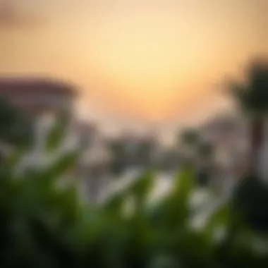 Charming Neighborhood Surrounding Baniyas Villas Scenic view of the neighborhood highlighting the charm of Baniyas Villas