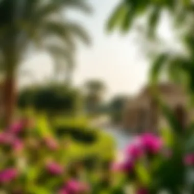 Lush landscape and greenery surrounding Casa Arabian Ranches 2