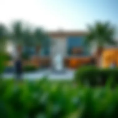 Recreational activities available at Meydan parks