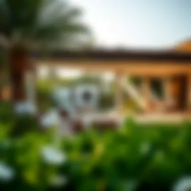 Serene Outdoor Spaces in UAE Villas Expansive outdoor space of a villa showcasing lush gardens