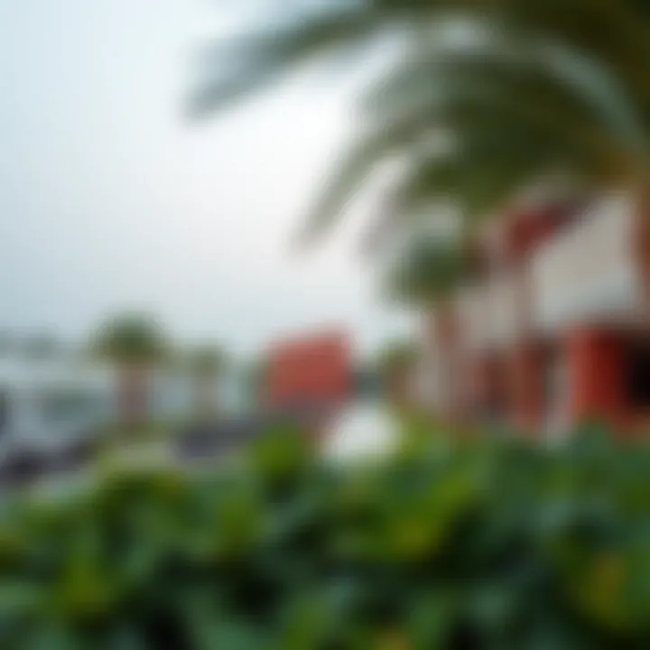 Exclusive Lifestyle Amenities in Damac Hills 2 Luxurious amenities available in Damac Hills 2