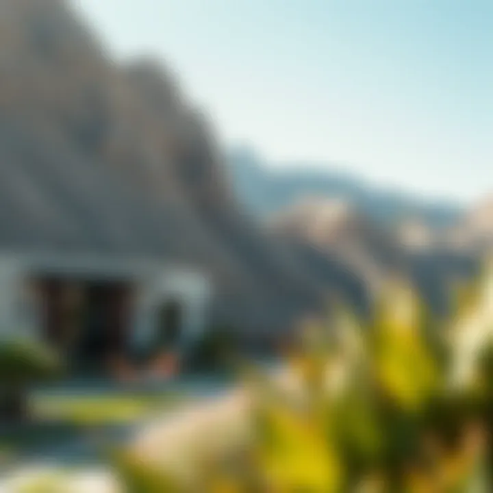 Breathtaking Natural Surroundings of Damac Hills 2 Stunning landscape of Damac Hills 2 showcasing natural beauty