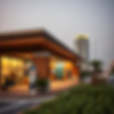 Emerging Real Estate Trends Surrounding Metro Station Local real estate developments near Dubai Investment Park Metro Station