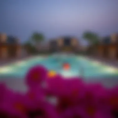 Exquisite Amenities at Elan Tilal Al Ghaf Amenities highlight featuring communal pool and recreational areas
