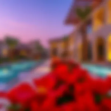 Vibrant community amenities offered at Akoya Villas