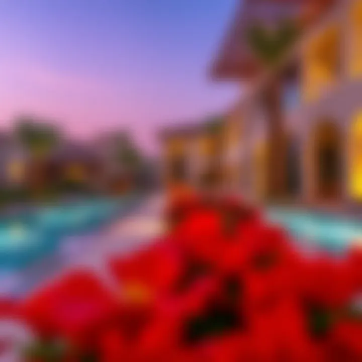 Vibrant community amenities offered at Akoya Villas