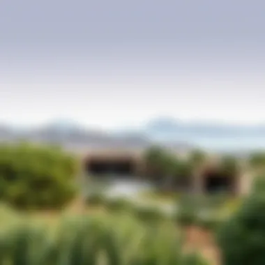 Natural landscapes surrounding Al Barari properties