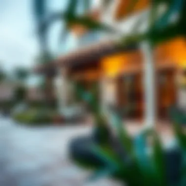 Picturesque Outdoor Space and Garden Beautiful outdoor area and garden of a villa