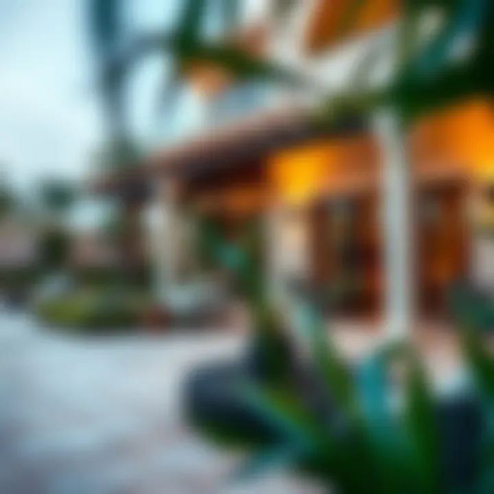 Picturesque Outdoor Space and Garden Beautiful outdoor area and garden of a villa