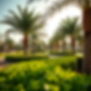 Local park in Al Yasmeen featuring lush greenery and recreational spaces