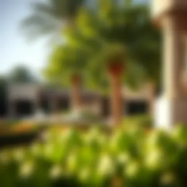 Lush Landscaped Garden in Luxury Community Lush landscaped garden in a luxury community setting