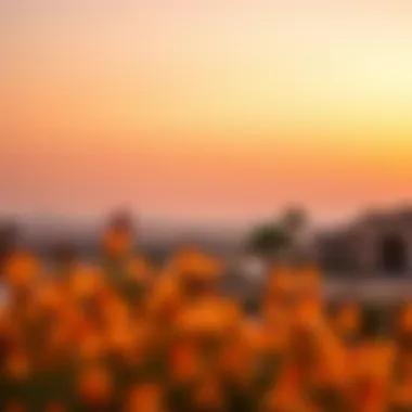 Serene landscape view of Arabian Ranches at sunset