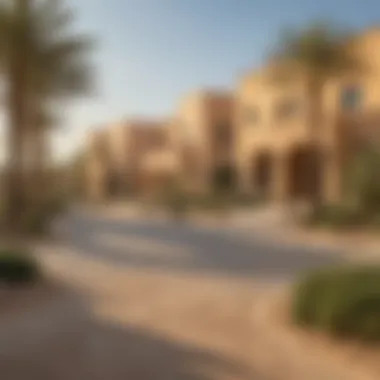 Community Dynamics of Arabian Ranches Terranova Vibrant community spaces within Arabian Ranches Terranova