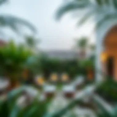 Luxurious garden space in a Dubai residence