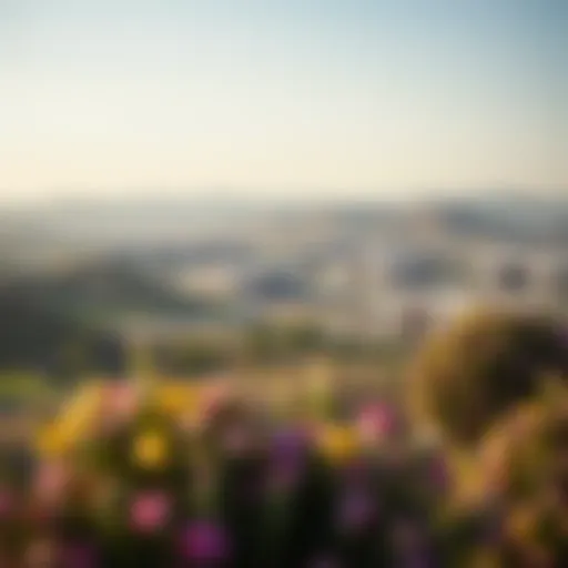 Scenic Overview of Damac Hills 2 Verona Stunning view of Damac Hills 2 Verona community