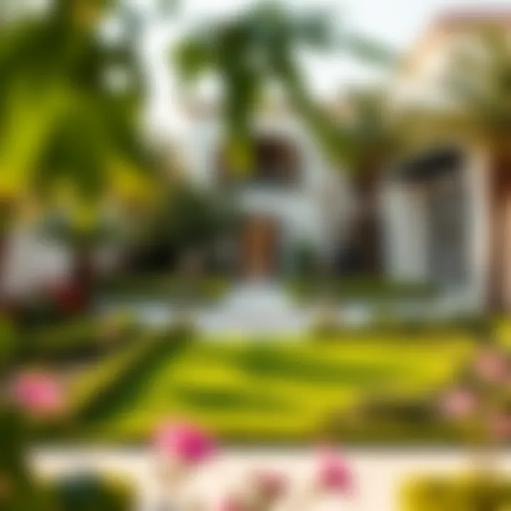 Gorgeous landscaped garden of a villa
