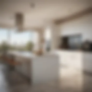 Modern Kitchen in Dubai Silicon Oasis Modern kitchen design in a Dubai Silicon Oasis villa