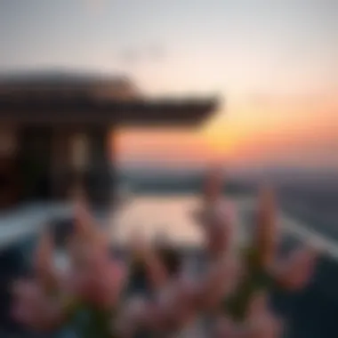 Panoramic Views from Emirates Hills Villas Breathtaking view from a villa terrace
