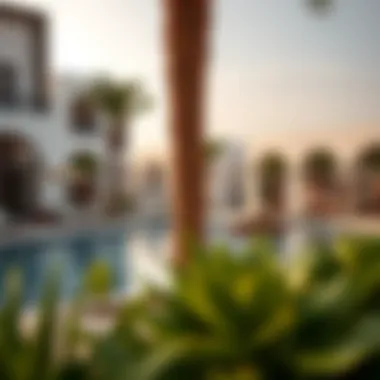 Community Amenities in Furjan Community amenities including a pool and recreational areas in Furjan