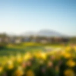 A stunning view of the golf course surrounded by luxurious homes