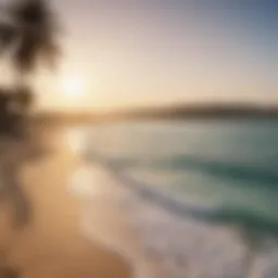 A panoramic view of Hamriya Beach showcasing the serene waters and golden sands