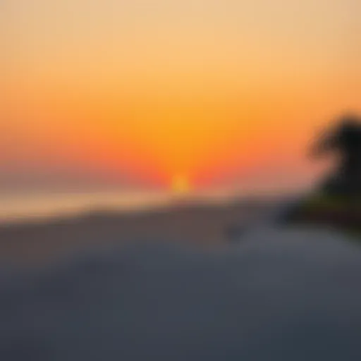 Breathtaking sunset view over Hamriyah Beach.