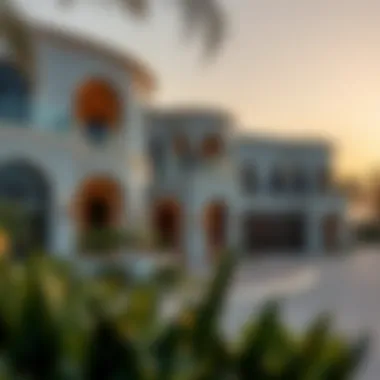 Exploring Houses in Palm Jumeirah Summary