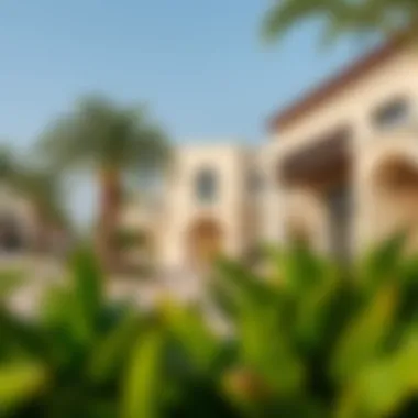 Community Living at Lagoons by Damac Community living experience at Lagoons by Damac with picturesque surroundings