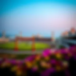 A scenic view of Meydan Racecourse showcasing the vibrant atmosphere of horse racing events.