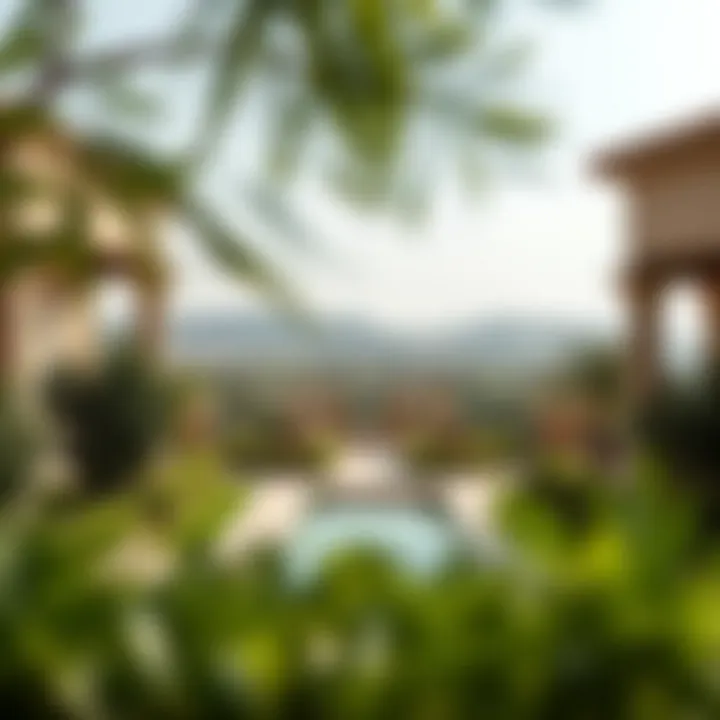Scenic views of landscapes and greenery in Mirador