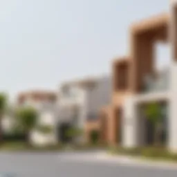 A serene landscape view of Nad Al Shiba showcasing its unique architecture