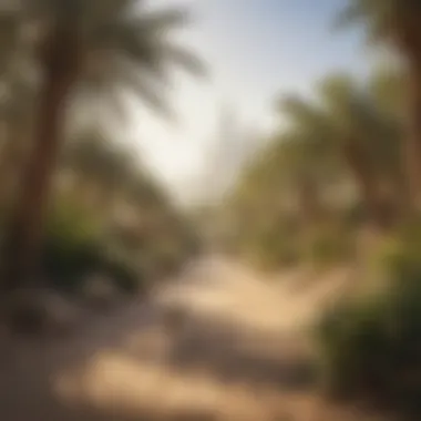 Biodiversity in Dubai's Natural Reserves Wildlife in a natural reserve demonstrating biodiversity in Dubai