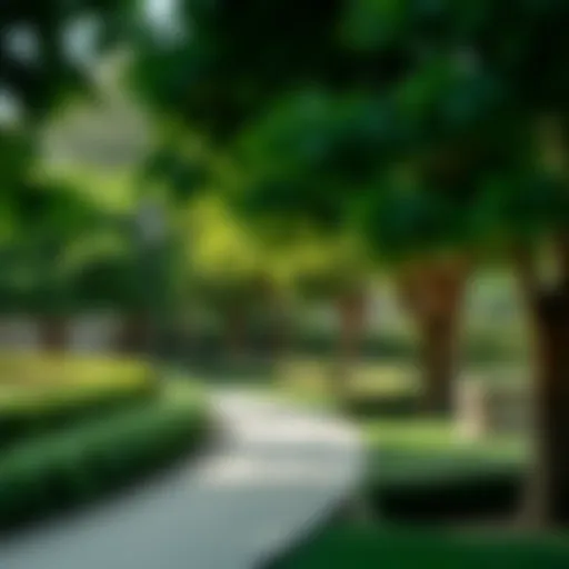A serene park with lush greenery and walking paths