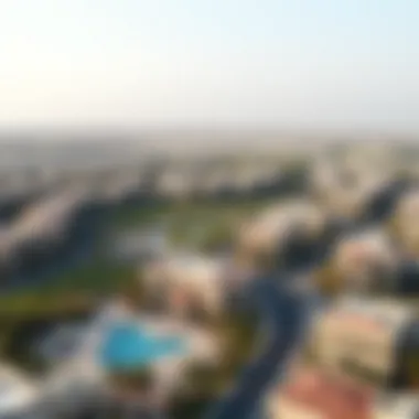 Aerial View of Palmera Aerial view of the Palmera neighborhood