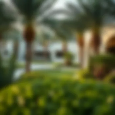 Lush Landscaping in Palmera Lush landscaping and serene surroundings in Palmera