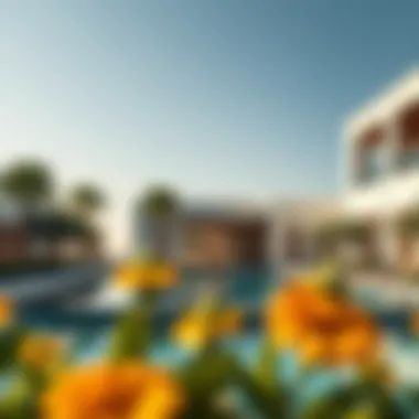 Amenities and lifestyle offerings in Park Hyatt villas, featuring a serene pool area