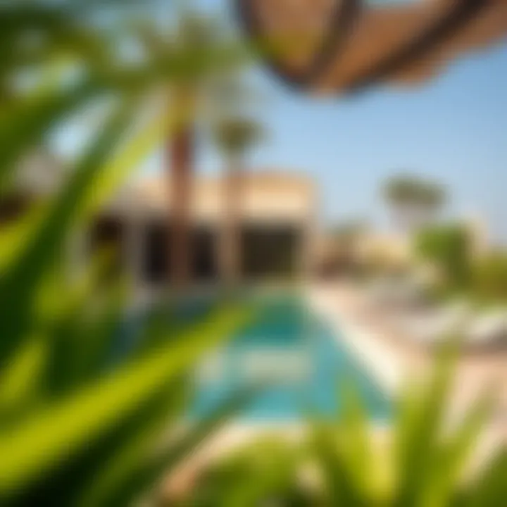 Outdoor area of a house with private pool and garden in Arabian Ranches