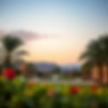 Community amenities including parks and recreational areas in Arabian Ranches