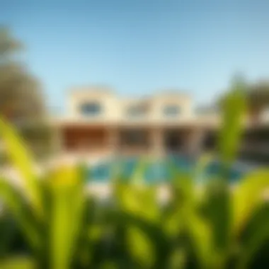 Serena Villa: A Private Oasis with a Stunning Pool Serena Villa's stunning pool area surrounded by lush landscaping