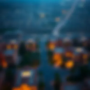 Aerial view of Silicon Oasis neighborhood