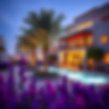 Community amenities in Silicon Oasis