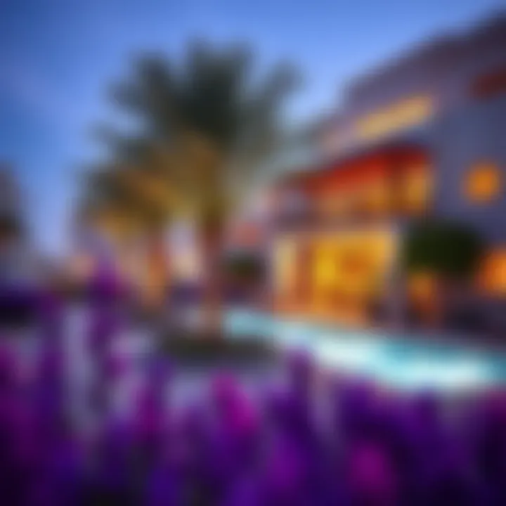 Community amenities in Silicon Oasis