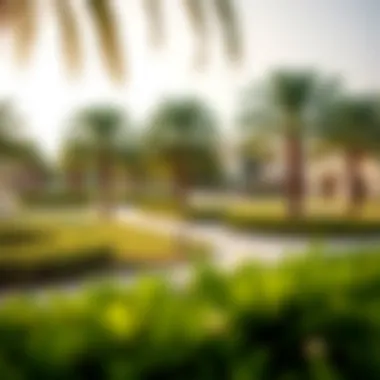 Community Park: A Green Oasis A lush green park within Silicon Oasis promoting community living