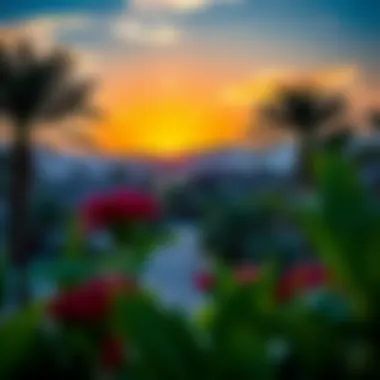 Breathtaking Sunset Over Springs Villas Sunset view over Springs villas highlighting neighborhood charm