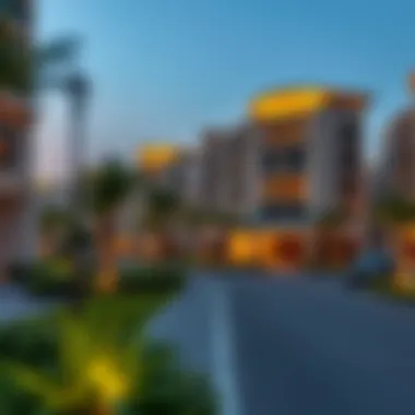 Overview of a modern residential community in Dubai