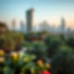 A panoramic view of Marina Garden showcasing its lush greenery against the backdrop of Dubai's skyline.